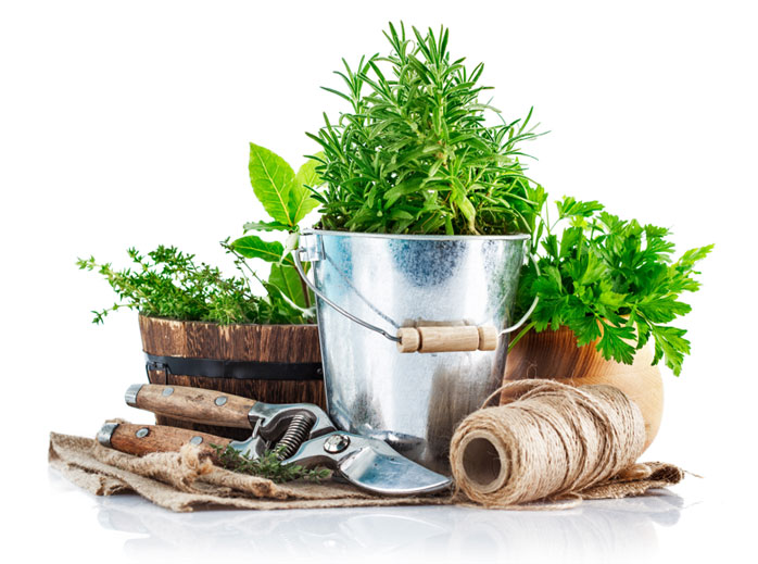 ir-poultry-waste-chicken-litter-and-poultry-feed