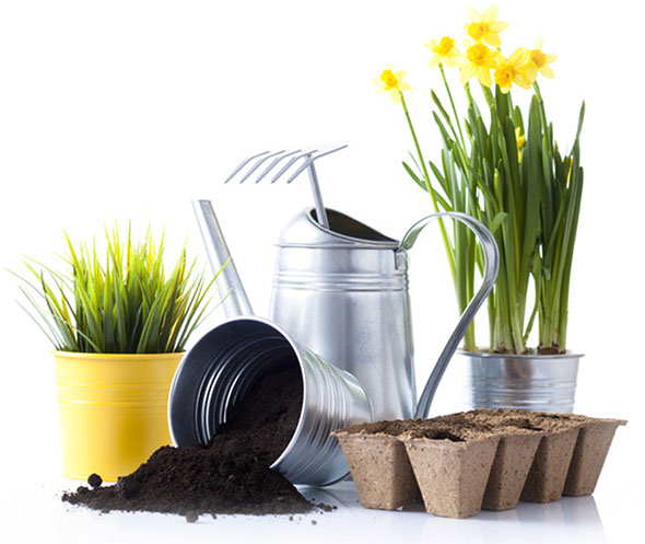 ir-poultry-waste-fertiliser