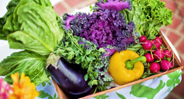 ir-poultry-waste-vegetable-gardening